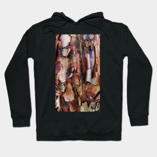 Natural Abstract (paperbark maple tree detail) Hoodie